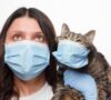 Can I catch a cold or flu from my pet?
