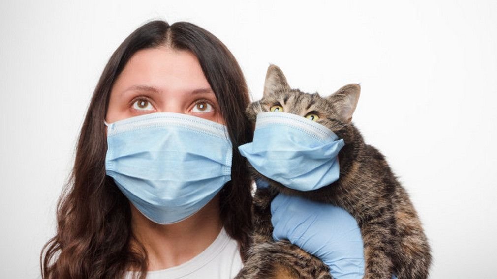 Can I catch a cold or flu from my pet?